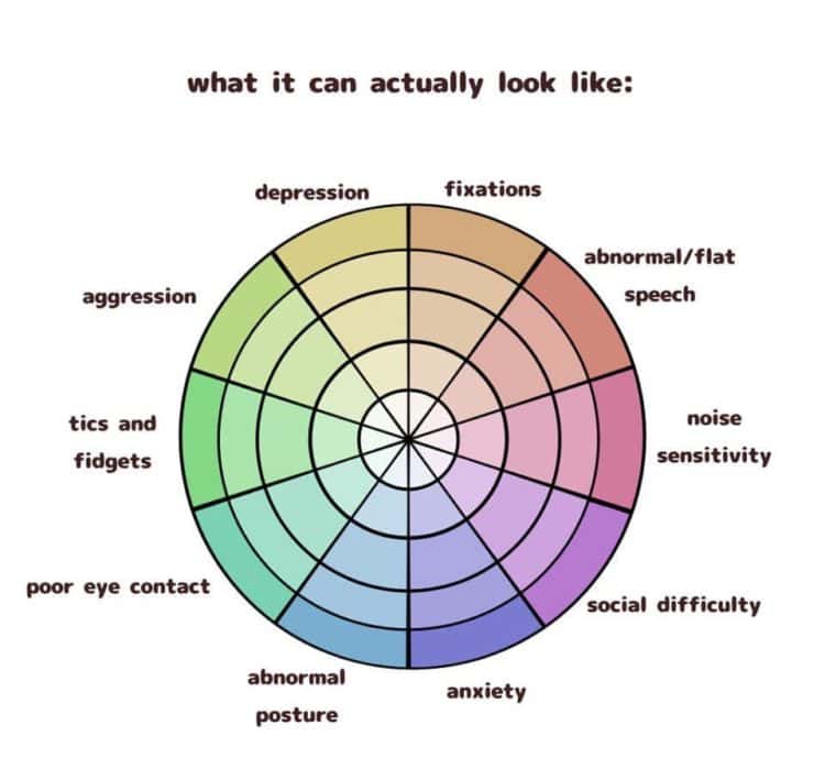 Underneath the text "what it can actually look like:" there is a circle with multiple inner rings divided like a pie. Each slice of the pie is a different color with hues ranging from pale at the center to saturated on the outer ring. The slices of the pie are labeled: poor eye contact, tics and fidgets, aggression, depression, fixations, abnormal/flat speech, noise sensitivity, social difficulty, anxiety, abnormal posture.
