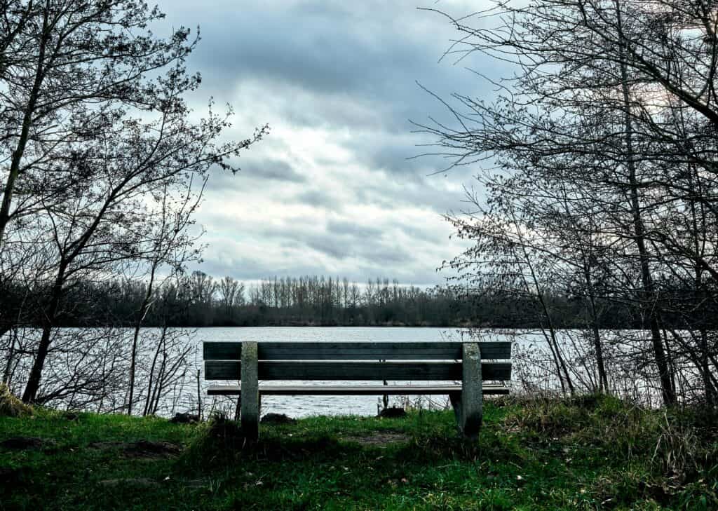 A Bench on Green Grass Beside a Lake