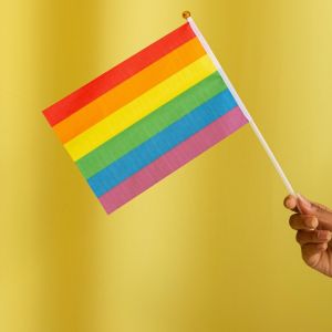 A brown hand holds a pride flag against a yellow background.